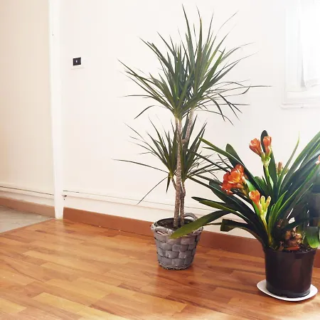 Gæstehus I Colori Della Sicilia