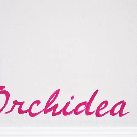 I Colori Della Sicilia Gæstehus Caltagirone